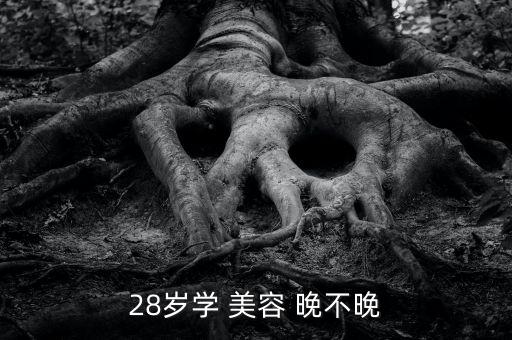 28岁学 美容 晚不晚