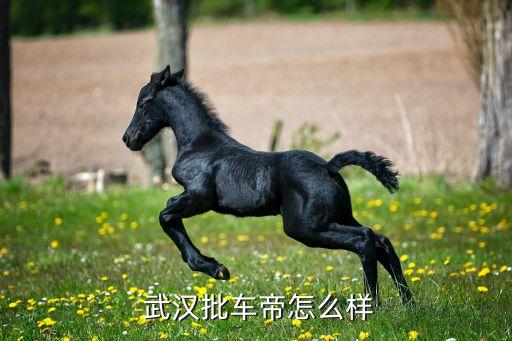  武汉批车帝怎么样