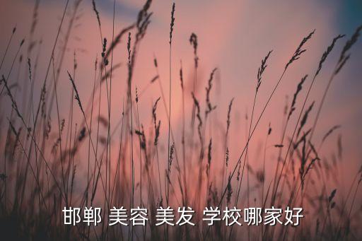  邯郸 美容 美发 学校哪家好