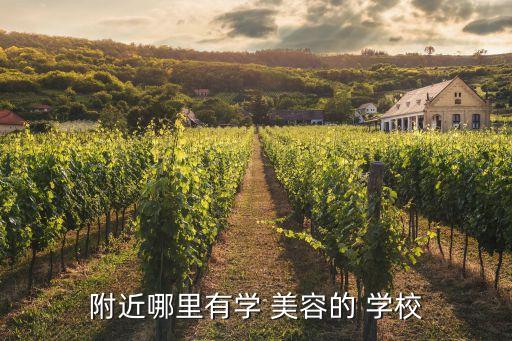 哪里学美容学校,如果你想学医美容可以申请医学美容学校