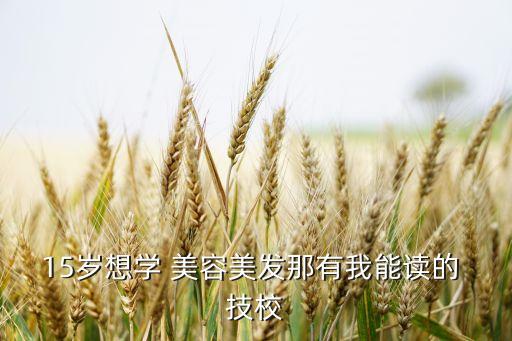 15岁想学 美容美发那有我能读的 技校