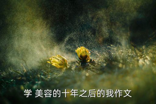 学 美容的十年之后的我作文