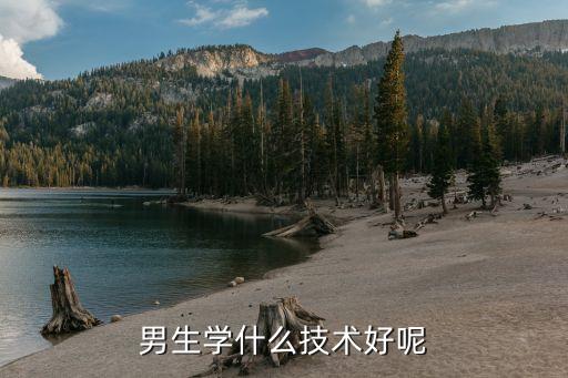 男生学什么技术好呢