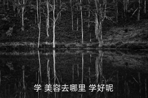 甘肃正规学美容去哪学好,学美容!建议去正规美容学校学习