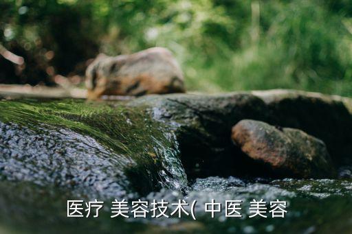 医疗 美容技术( 中医 美容