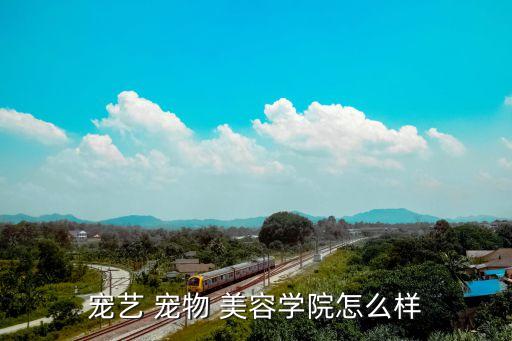 宠艺 宠物 美容学院怎么样