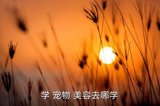 学 宠物 美容去哪学