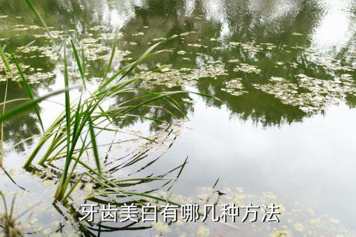 牙齿黑能学美容吗,四环素牙或牙齿黄牙可通过冷光美白来改善