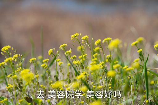 去 美容院学 美容好吗