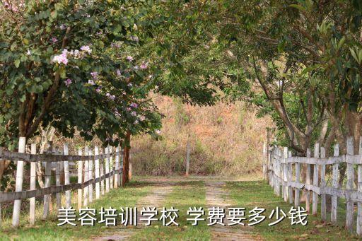 去美容院学美容收学费,美容学校学费多少?一般来说三到六个月