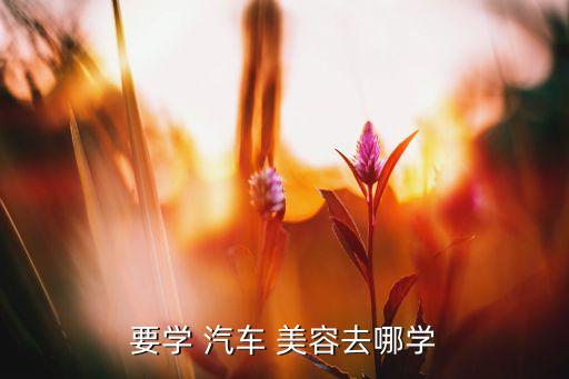 要学 汽车 美容去哪学