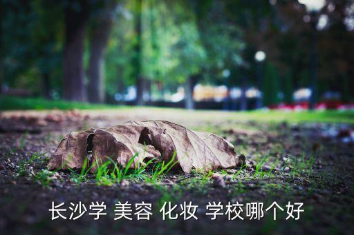 学化妆美容学校好吗,长沙大学美容化妆学校哪个好?