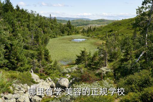 哪里有学 美容的正规学校