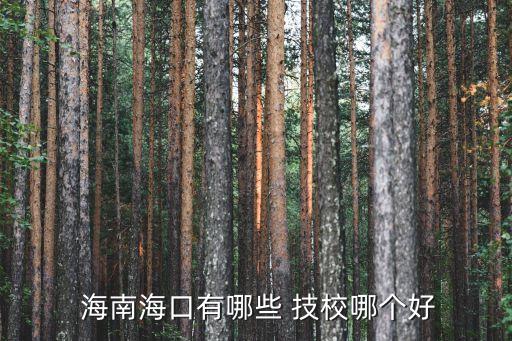  海南海口有哪些 技校哪个好