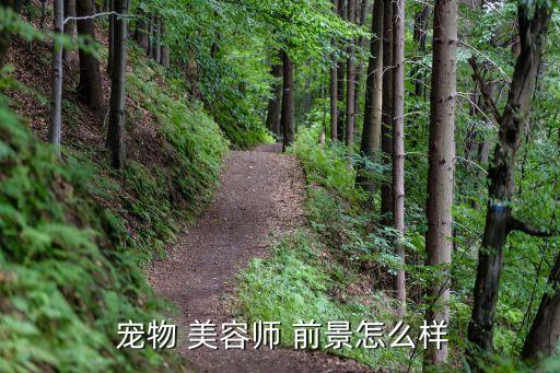 男生学宠物美容前景,宠物美容专业人才需求强劲但仍严重缺乏