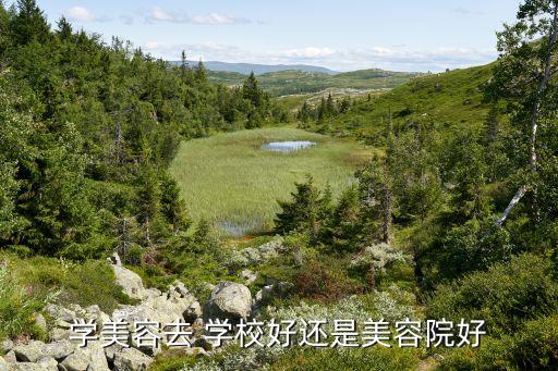 学美容去 学校好还是美容院好