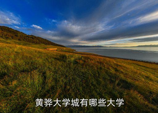  黄骅大学城有哪些大学