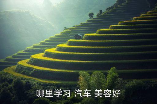 哪里学习 汽车 美容好