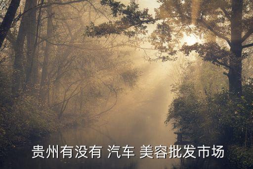  贵州有没有 汽车 美容批发市场