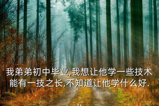 我弟弟初中毕业,我想让他学一些技术能有一技之长,不知道让他学什么好...