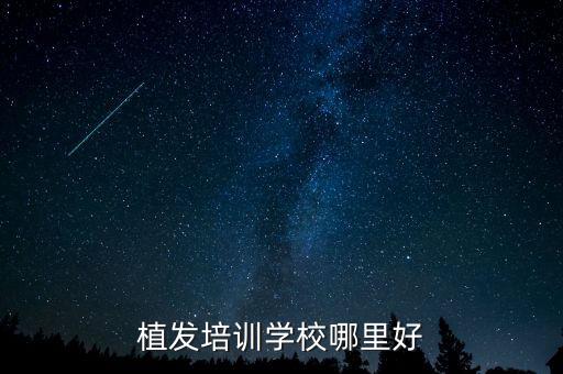 植发培训学校哪里好