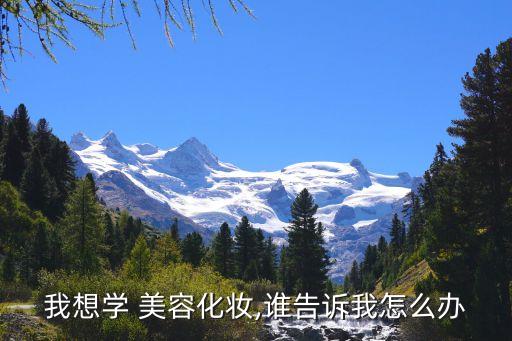 我想学 美容化妆,谁告诉我怎么办