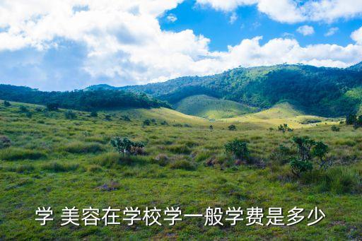 学 美容在学校学一般学费是多少