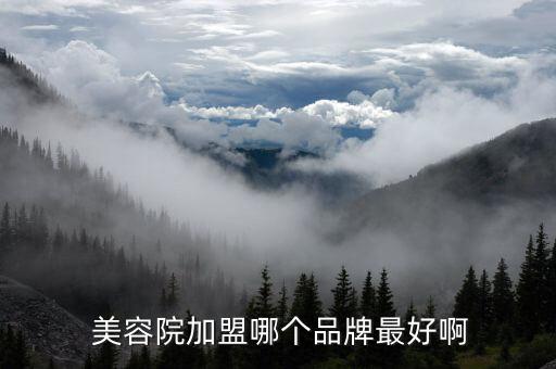  美容院加盟哪个品牌最好啊