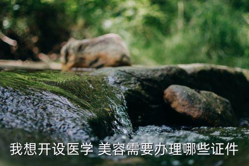 我想开设医学 美容需要办理哪些证件