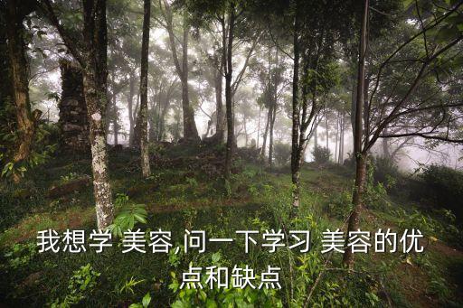 我想学 美容,问一下学习 美容的优点和缺点