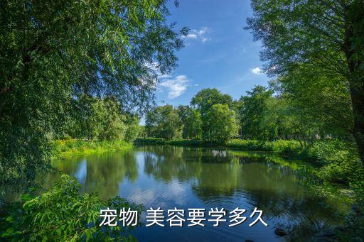  宠物 美容要学多久