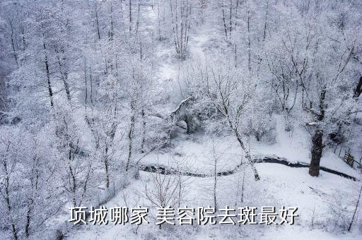  项城哪家 美容院去斑最好