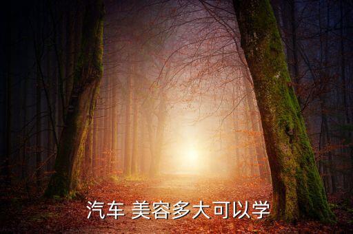  汽车 美容多大可以学